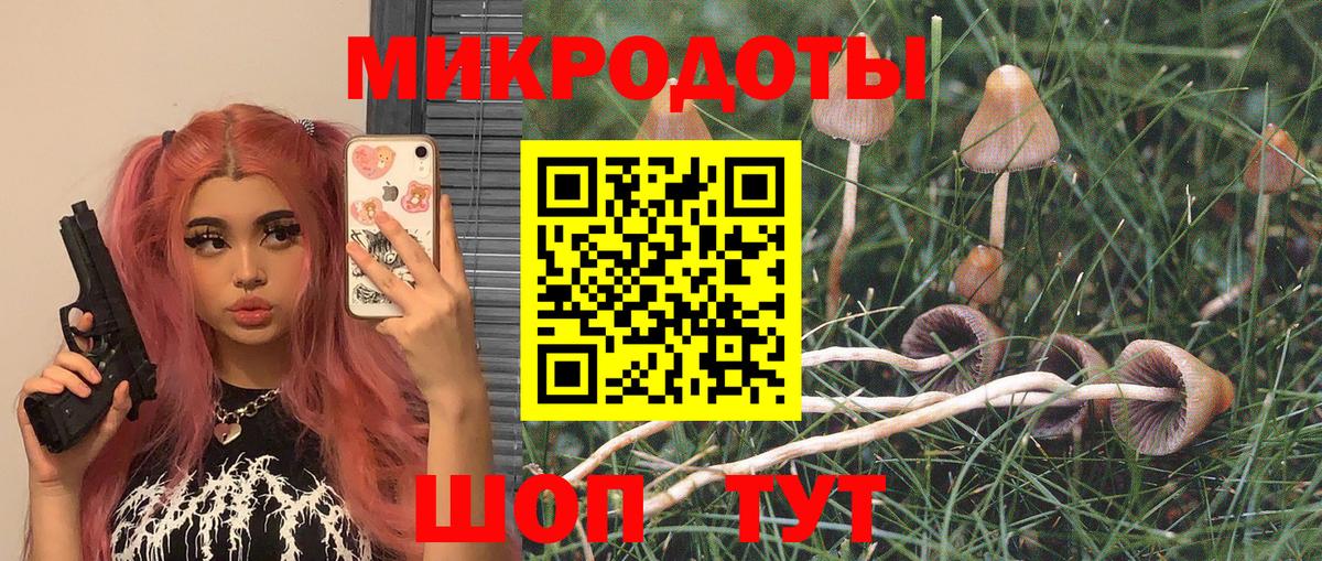 Галлюциногенные грибы ЛСД  Вход с VPN  Бахчисарай 